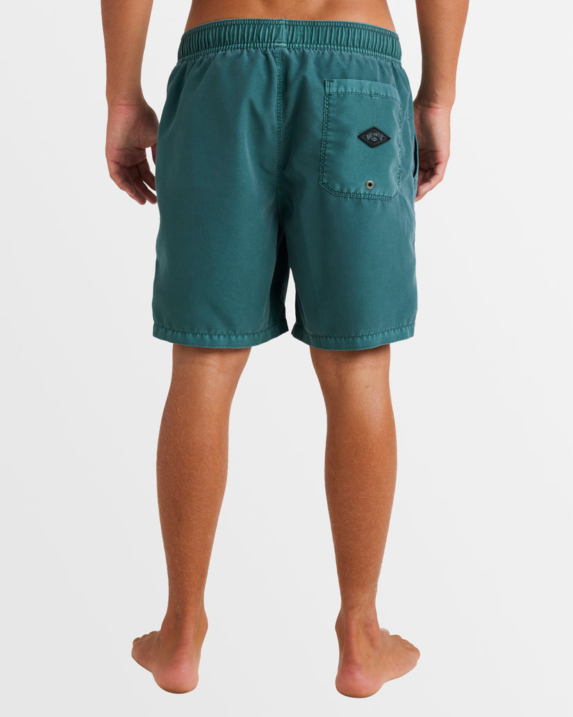 Mens All Day Overdye Layback Boardshorts