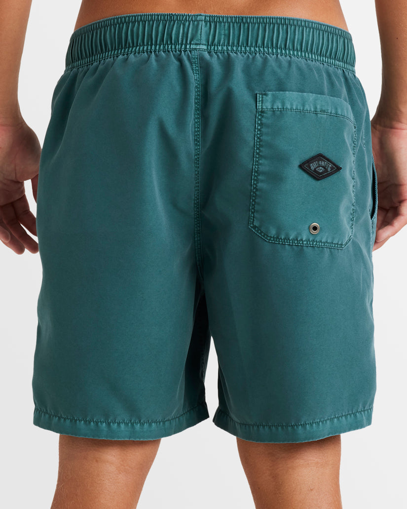 Mens All Day Overdye Layback Boardshorts