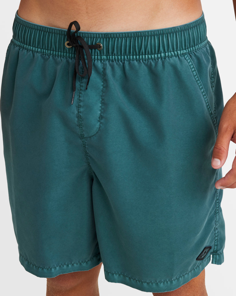 Mens All Day Overdye Layback Boardshorts