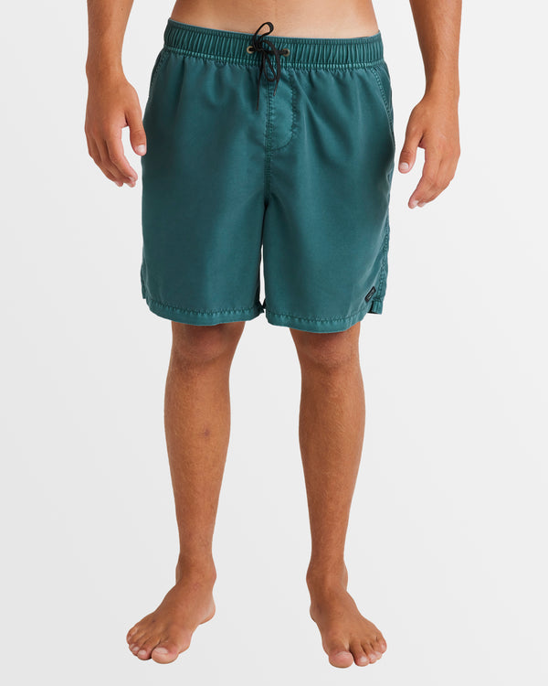 Mens All Day Overdye Layback Boardshorts