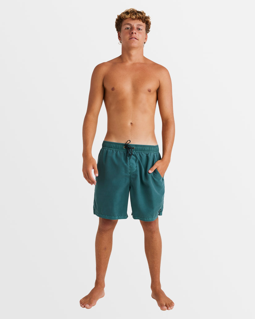 Mens All Day Overdye Layback Boardshorts