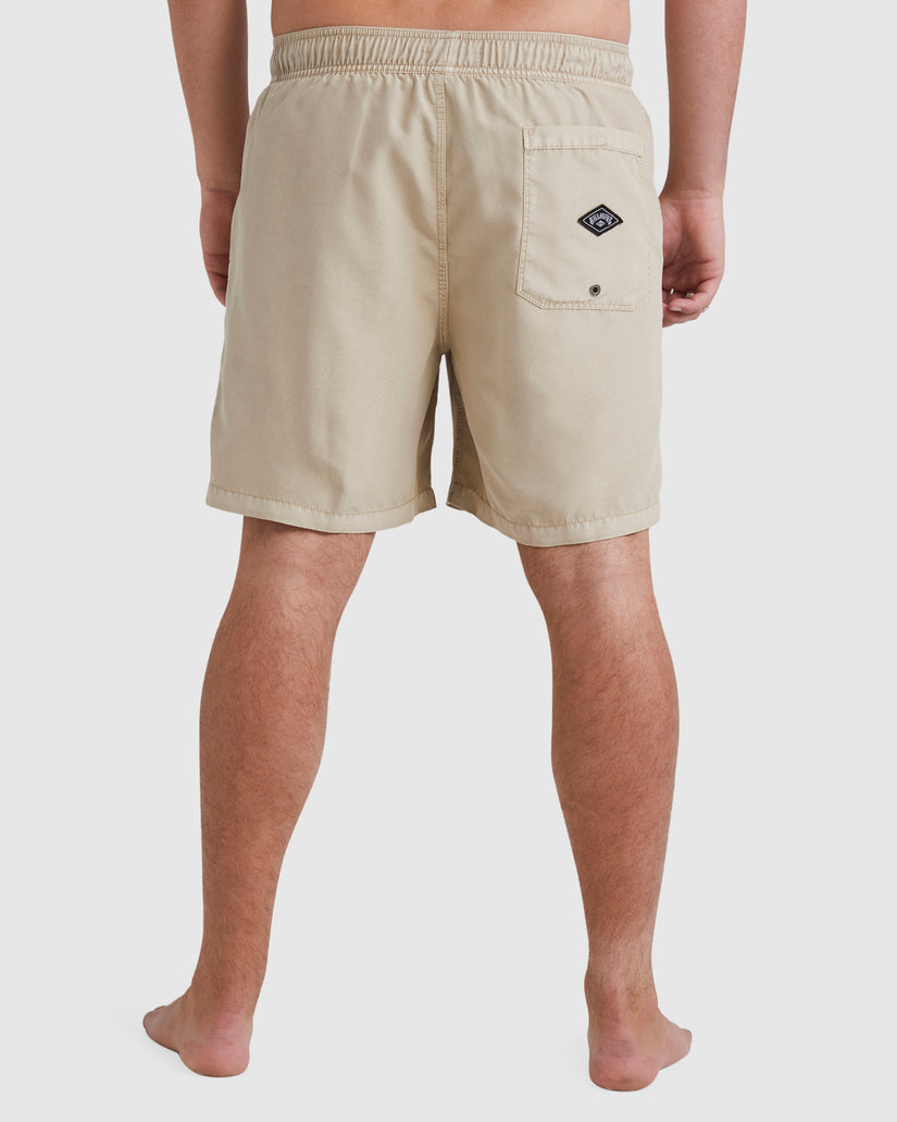 Mens All Day Overdye Layback Boardshorts