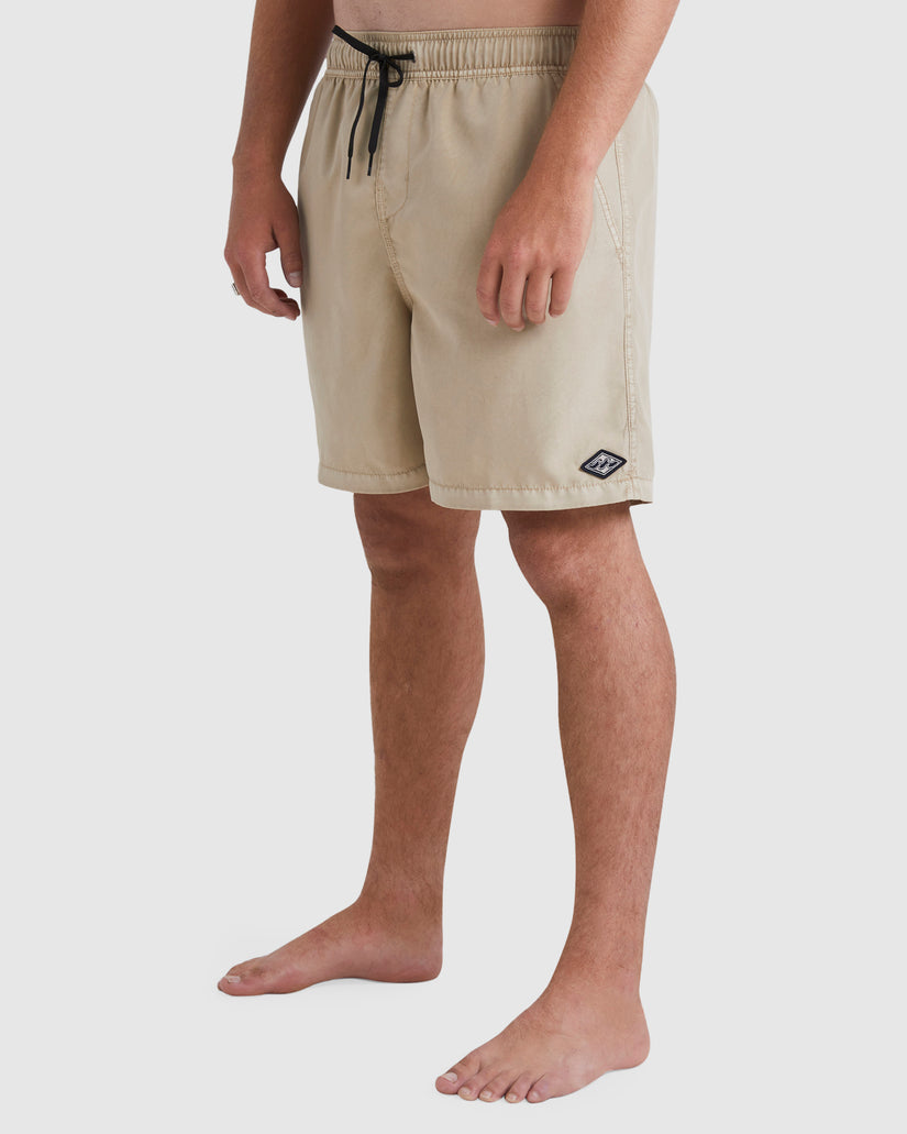 Mens All Day Overdye Layback Boardshorts