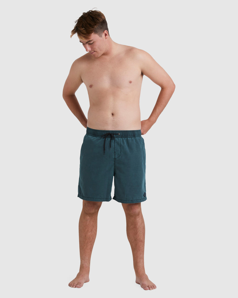 Mens All Day Overdye Layback Boardshorts