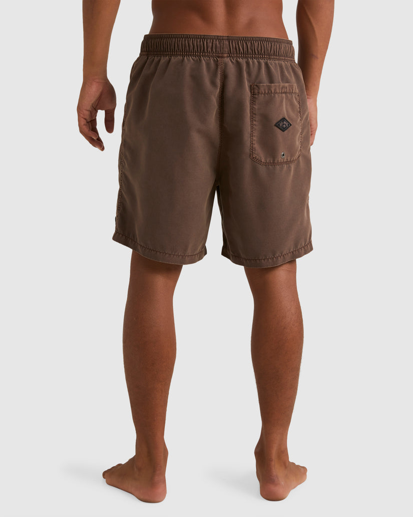 Mens All Day Overdye Layback Boardshorts