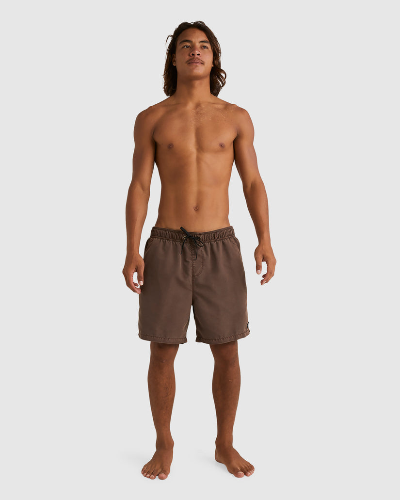 Mens All Day Overdye Layback Boardshorts