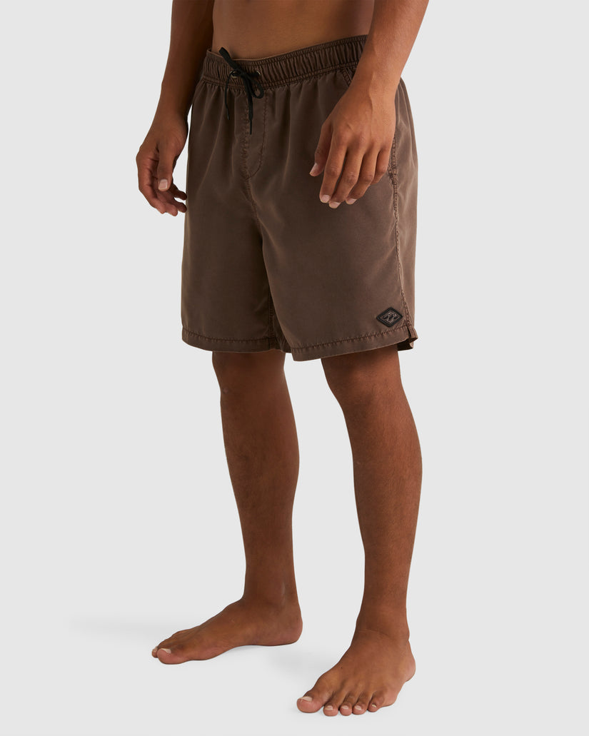 Mens All Day Overdye Layback Boardshorts