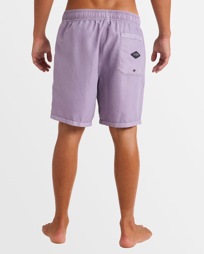 Mens All Day Overdye Layback Boardshorts