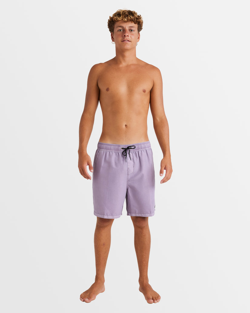 Mens All Day Overdye Layback Boardshorts