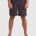 All Day Overdye Layback Boardshorts