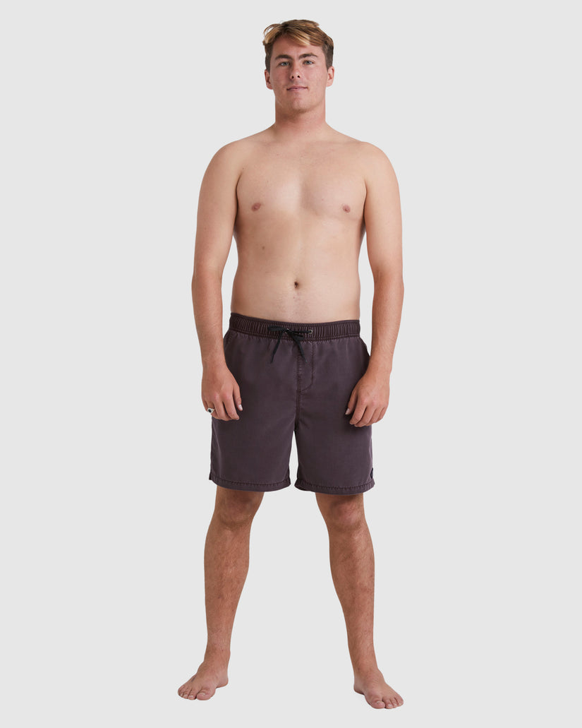 All Day Overdye Layback Boardshorts