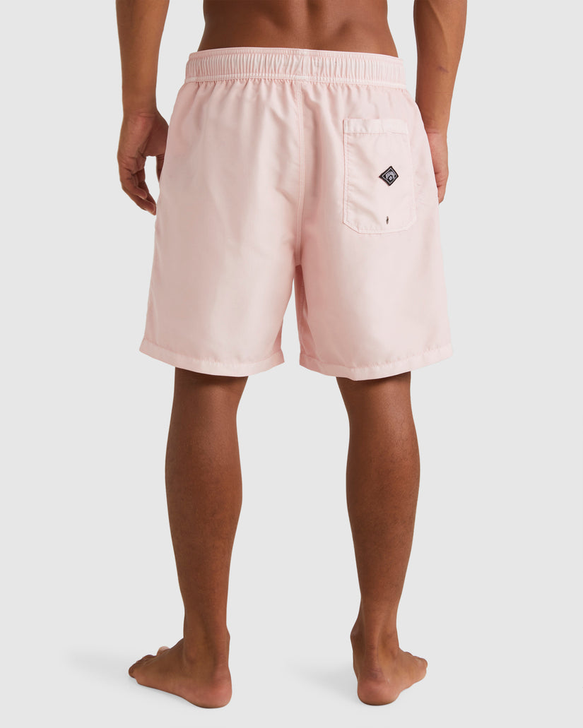 Mens All Day Overdye Layback Boardshorts