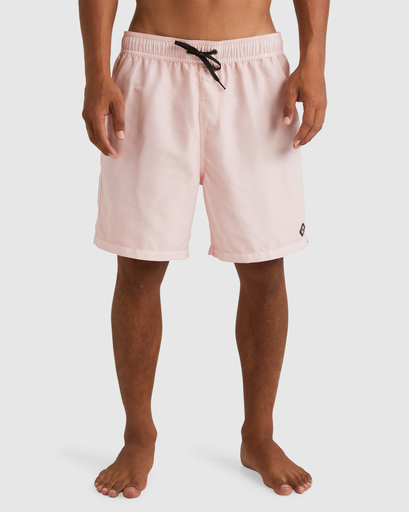 Mens All Day Overdye Layback Boardshorts