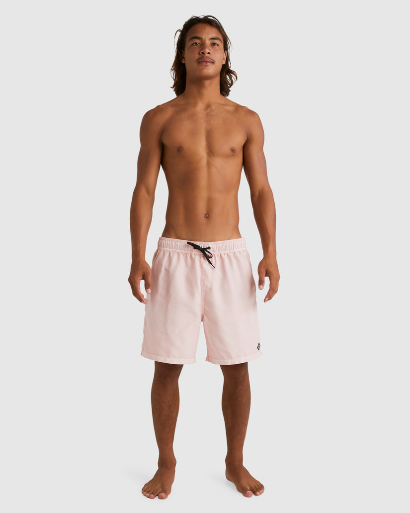 Mens All Day Overdye Layback Boardshorts