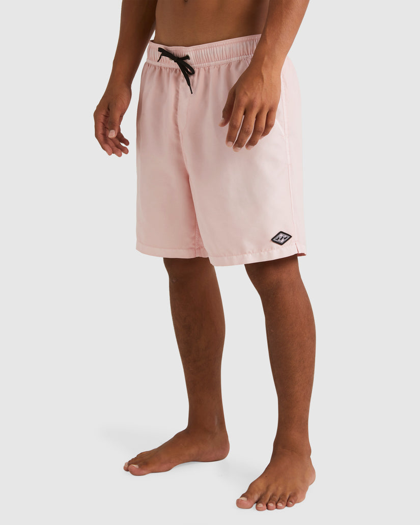 Mens All Day Overdye Layback Boardshorts