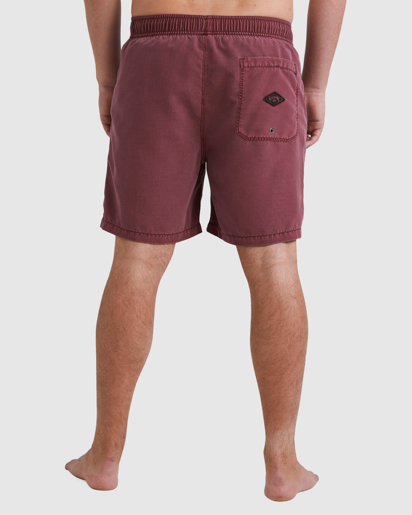 Mens All Day Overdye Layback Boardshorts