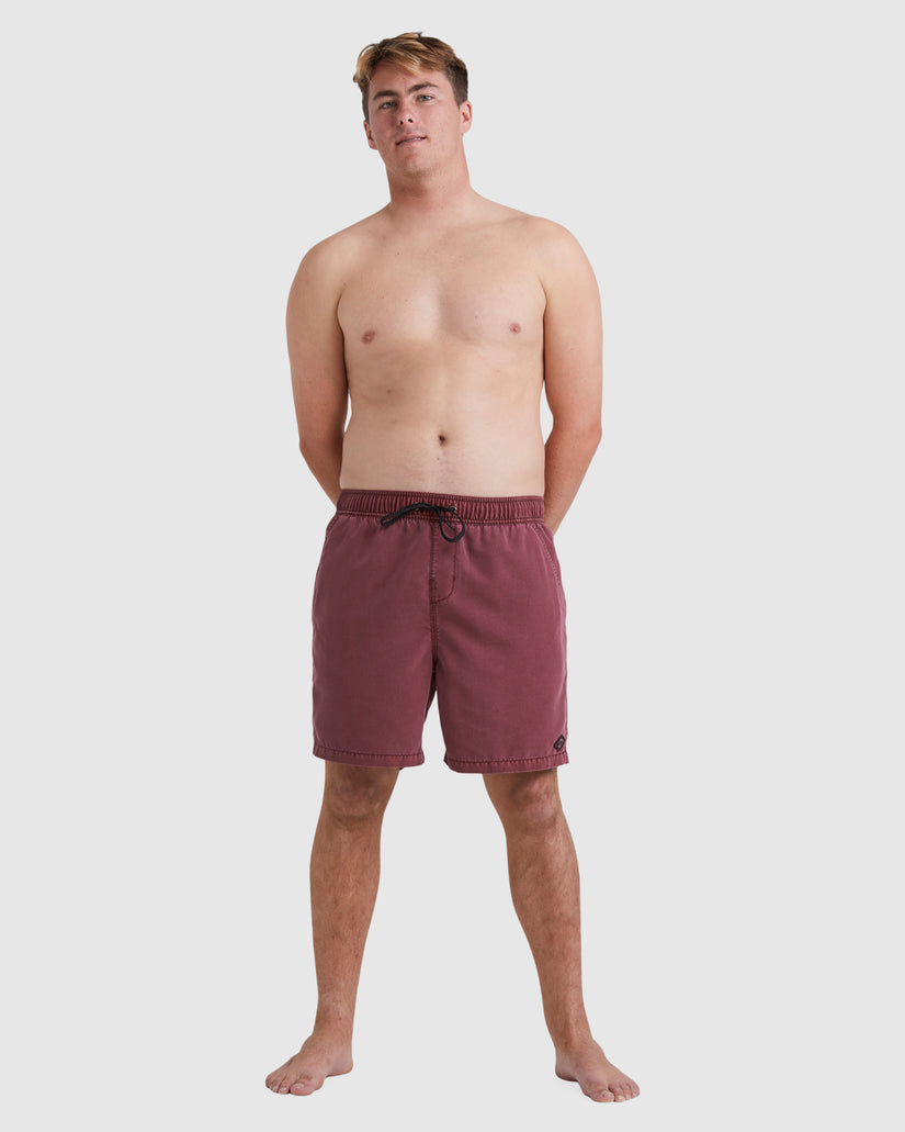 Mens All Day Overdye Layback Boardshorts