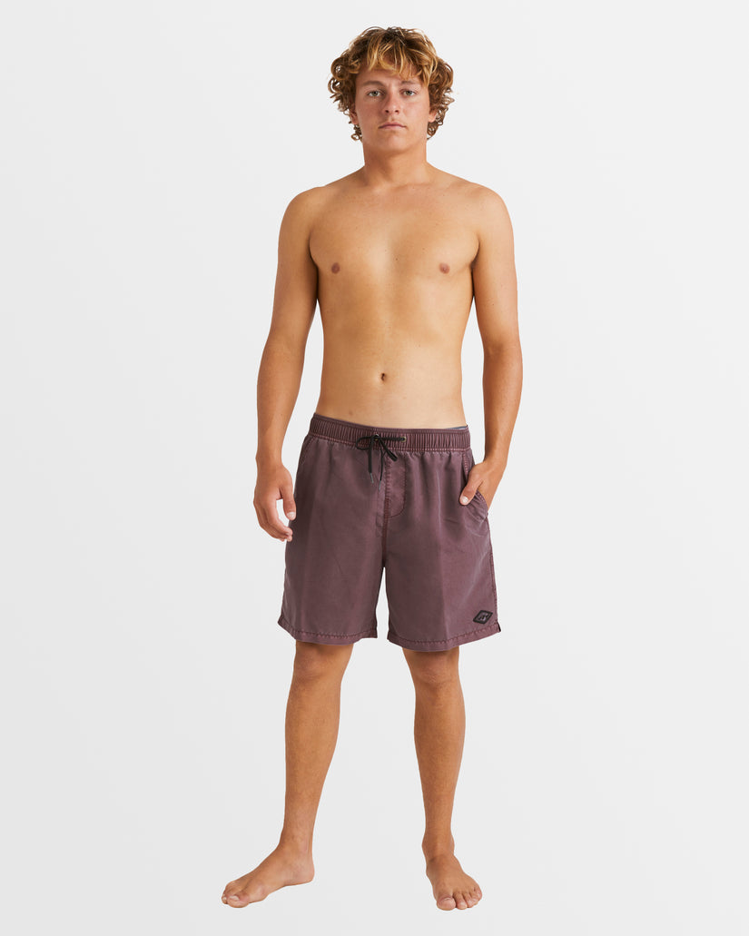 Mens All Day Overdye Layback Boardshorts