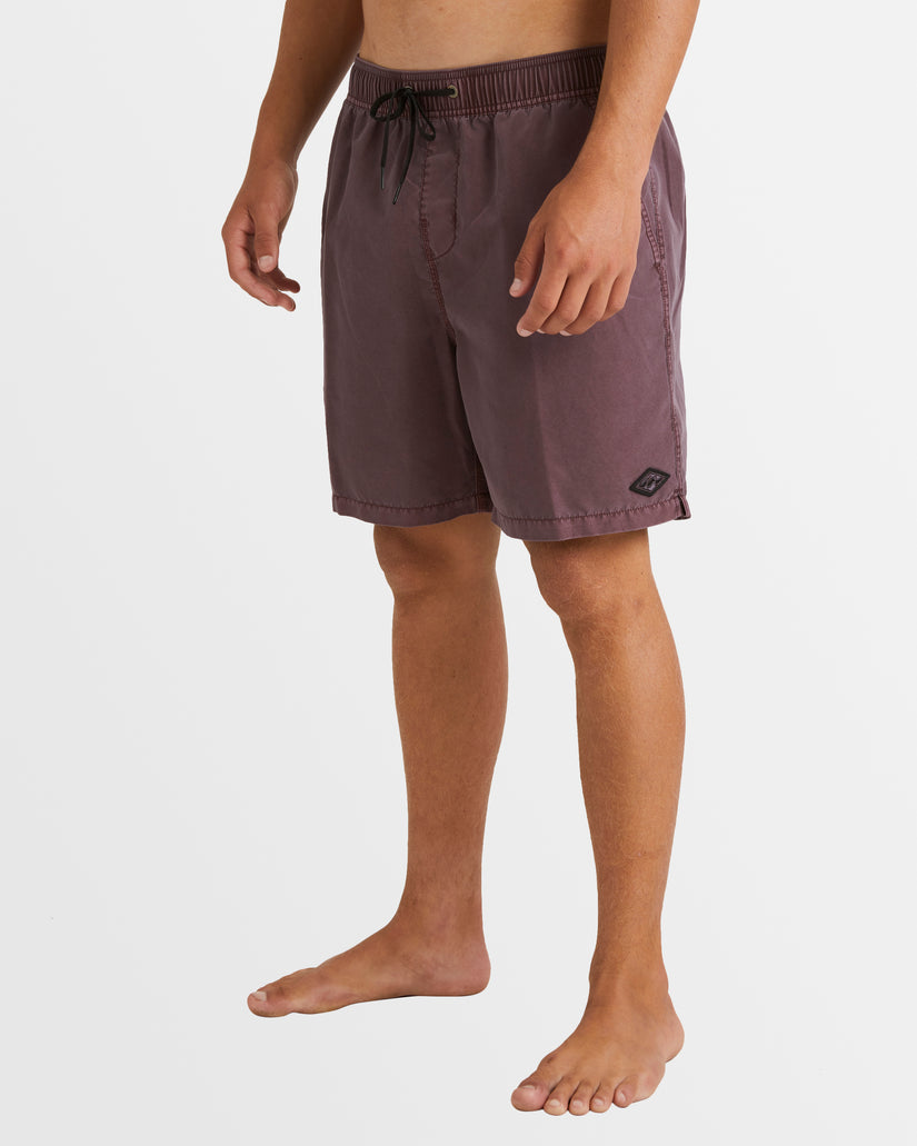 Mens All Day Overdye Layback Boardshorts