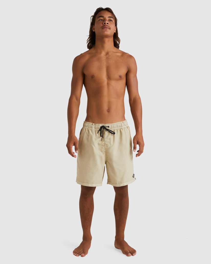 Mens All Day Overdye Layback Boardshorts