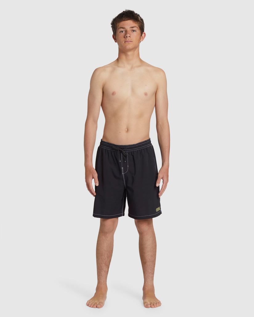 Mens Riot Layback Boardshorts