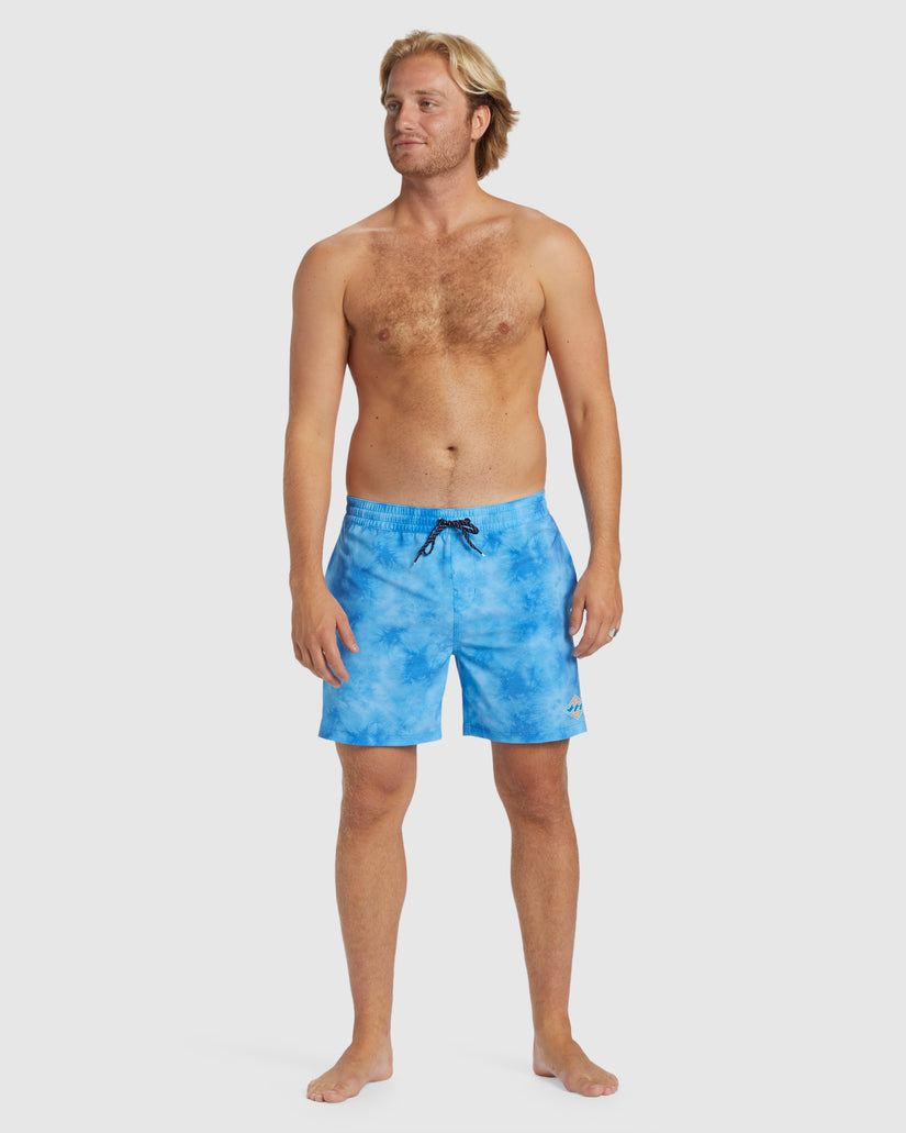 Mens D Bah Layback Boardshorts