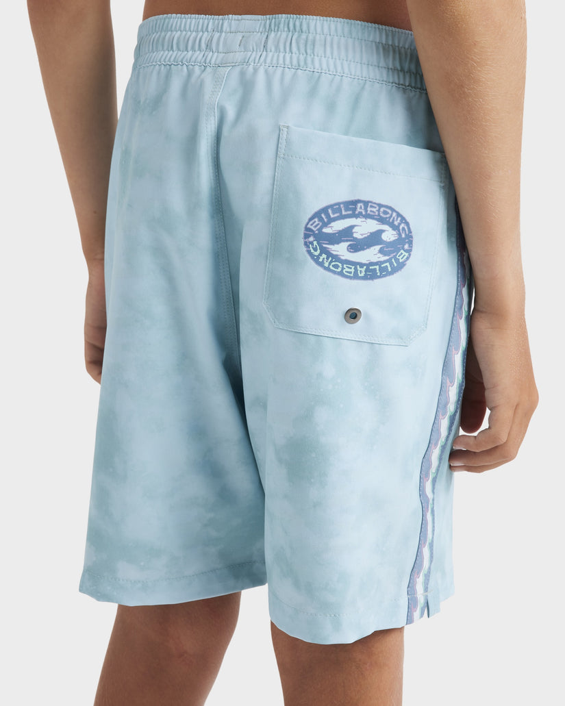 Boys 8-16 Dbah Layback Boardshorts