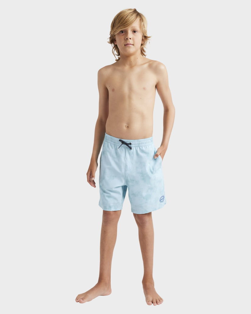 Boys 8-16 Dbah Layback Boardshorts