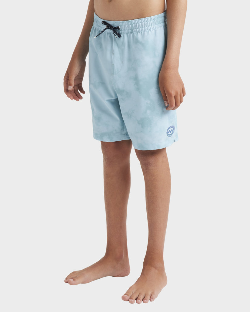 Boys 8-16 Dbah Layback Boardshorts