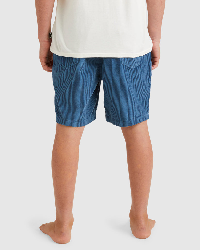 Boys 8-16 Larry Cord Shorts