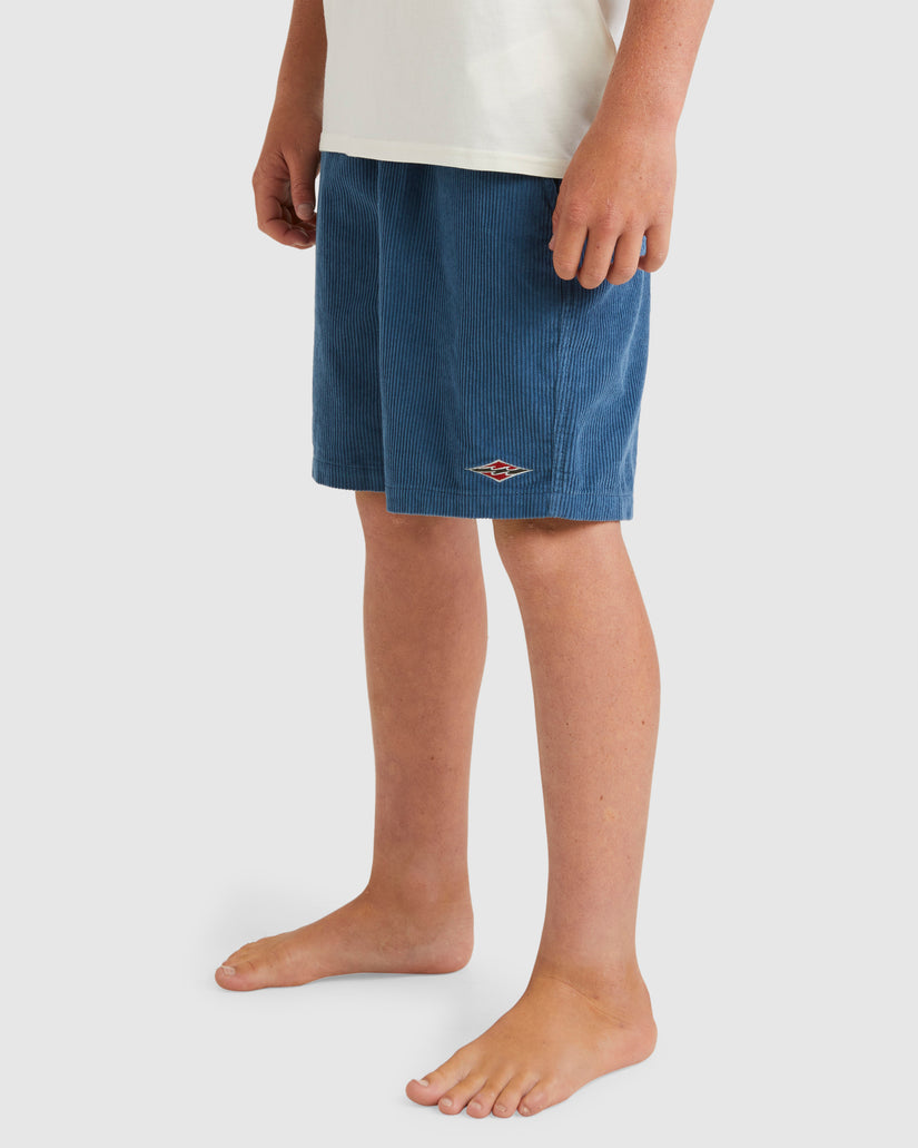 Boys 8-16 Larry Cord Shorts