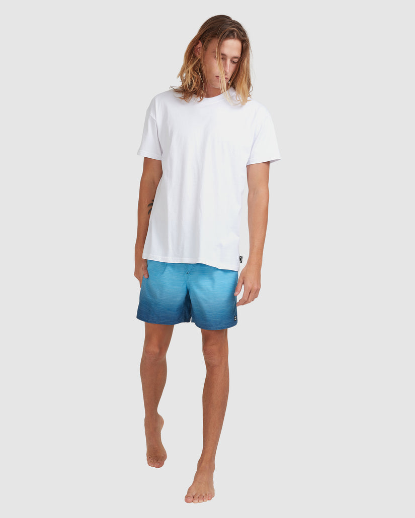 Mens Sergio Layback Boardshorts